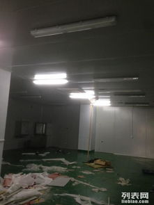 金山石化區(qū)食品廠專(zhuān)業(yè)凈化工程 彩鋼巖棉板隔斷、車(chē)間隔墻與工裝裝修一體化解決方案